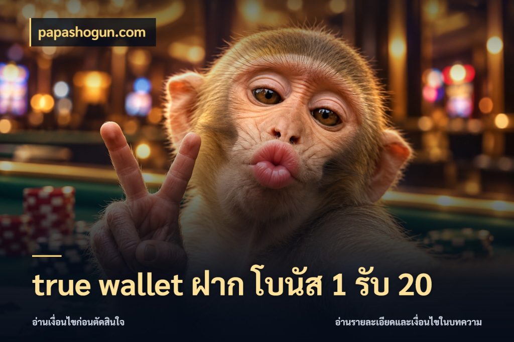 true wallet ฝาก โบนัส 1 รับ 20 โปรกับเกมที่ชอบเลือกให้ตรงสไตล์ สไตล์ papashogun.com